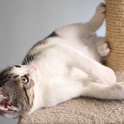 Cat Scratching Post - Image 6