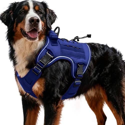 Heavy-Duty Tactical Dog Harness by Bruvoalon