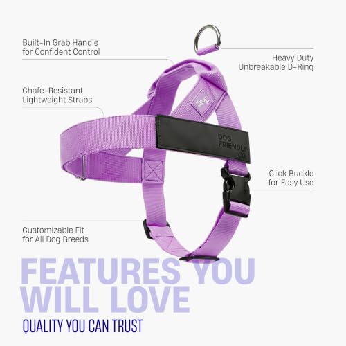 Dog Friendly Co. Dog Harness for Large Dogs - Image 5