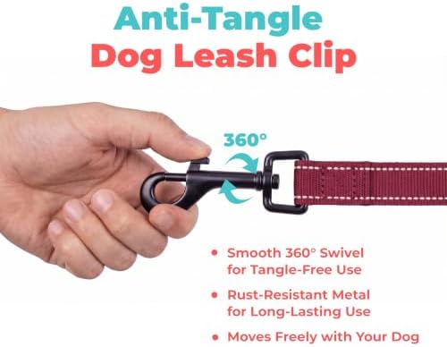 Best Pet Supplies Voyager Nylon Dog Leash - Image 7