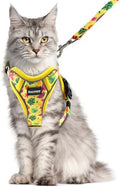 Halypet Cat Harness and Leash Set, Escape Proof Adjustable Harness by DOMoreWithYourPet