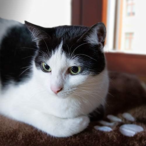 Pretty Kitty Cozy Window Cat Bed - Image 6