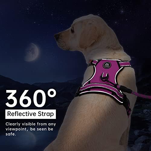 IVY&LANE No Pull Dog Harness for Small Dogs, Reflective Dog Vest Harness - Image 5