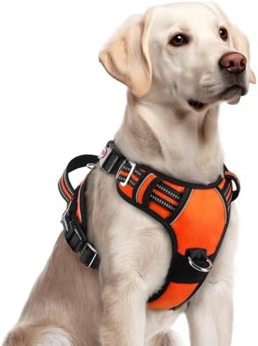 rabbitgoo Dog Harness for Large, No Pull 3 Buckles Easy On & Off by rabbitgoo