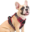 Eagloo Dog Harness No Pull for Medium Dogs, Easy On & Off by GoExplorewithEagloo
