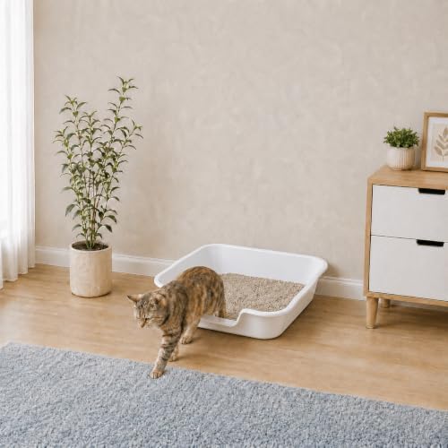 Extra Large Low Entry ABS Cat Litter Box, 2 Pack - Image 4