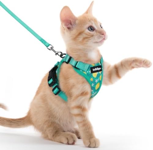 rabbitgoo Cat Harness and Leash Set, Escape Proof Vest, Lemon Grove by rabbitgoo