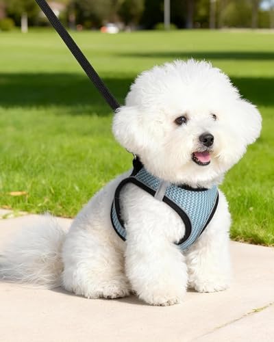 Dog Harness Small Sized and Leash Set, Step in Soft Light Puppy Vest, - Image 2
