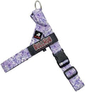BULLHUG Adjustable Dog Harness– No Pull, No Choke – by BULLHUG