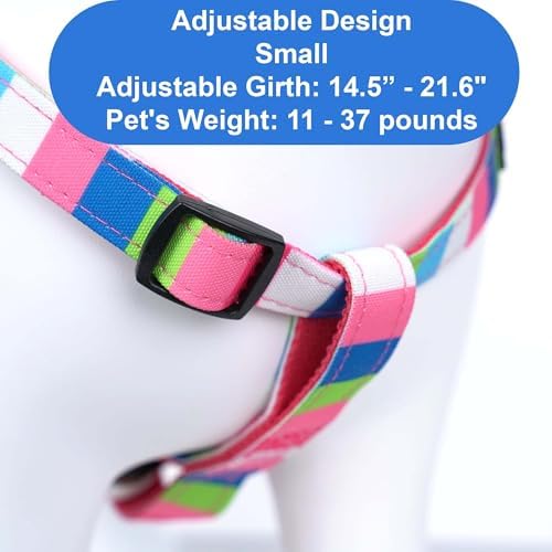 Pawtitas Multicolor Step-in Dog Harness – Adjustable No-Pull Vest - Image 3