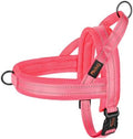 Didog No Pull Dog Harness for Small Dogs, Breathable Mesh Padded by Didog