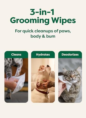 Earth Rated Dog Wipes for Paws & Butt, Deodorizing - Image 3