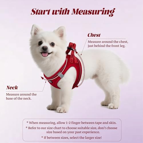 No Pull Dog Puppy Harness and Leash Set Reflective Mesh Vest Small - Image 2