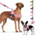 Lukovee No Pull Dog Harness and Leash Set, Soft Padded by Lukovee