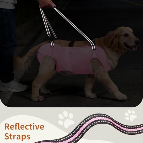 Mayerzon Full Body Dog Lift Harness, Support Senior & Disabled Dogs Walking - Image 6