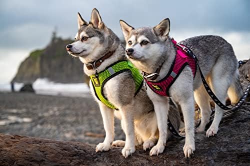 EcoBark Step in Dog Harness, Reflective & Adjustable Vest, Neon Green - Image 5