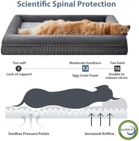 WNPETHOME XXL Extra Large Orthopedic - Image 3