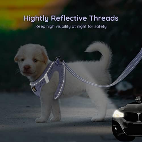 BELLA & PAL Step in Puppy Harness and Leash Set - Image 4