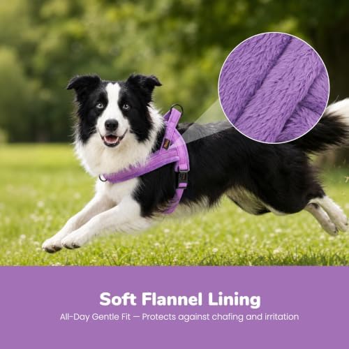 Didog No Pull Dog Harness for Medium Dogs, Soft Flannel Padded - Image 2