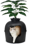 Secret Litter Box by Bundle & Bliss by SecretLitterBox
