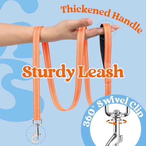 rabbitgoo Dog Harness Small Sized and Leash Set, Step in Soft Vest - Image 4