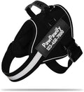 Custom No Pull Dog Harness by PawPawify