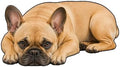 3D Realistic Dog Shaped Bath Mat & Floor Rug by MOFABIA