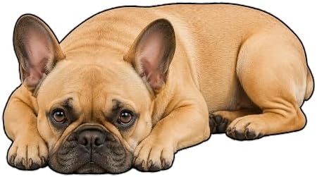 3D Realistic Dog Shaped Bath Mat & Floor Rug by MOFABIA