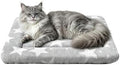 Dog Bed Mat – Soft & Comfortable Dog Kennel Pad by %E7%AB%8B%E5%8D%B3%E8%B4%AD%E4%B9%B0