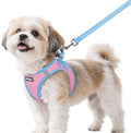 rabbitgoo Dog Harness Small Sized and Leash Set, Step in Soft Vest by rabbitgoo