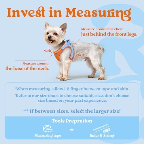 rabbitgoo Step-in Small Dog Harness, Puppy Vest - Image 2
