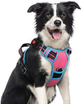 rabbitgoo Dog Harness Medium Sized, No Pull 3 Buckles Easy On & Off by rabbitgoo