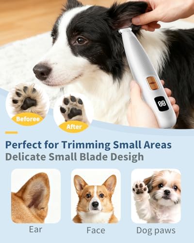 iBTC Dog Clippers and Paw Trimmer Kit 2 in 1 Low Noise Cordless Dog Clippers - Image 7