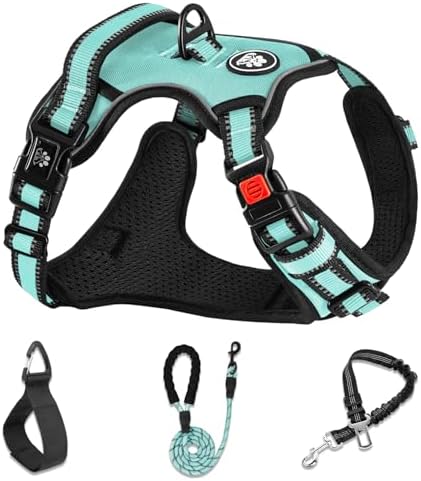 NESTROAD Dog Harness for Small Sized Dog, No Pull Dog Vest Harness Set by NESTROAD