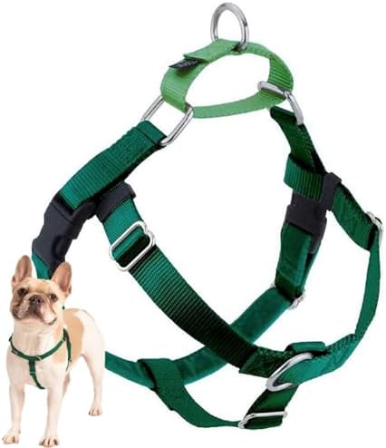 2 Hounds Design Freedom No Pull Dog Harness, 1 inch MD, Kelly Green by 2HoundsDesign