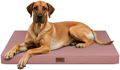 Jumbo Waterproof Orthopedic Dog Bed by TailStories