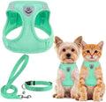 PUPTECK Adjustable Dog Harness Collar and Leash Set Step in No Pull Pet Harness by PUPTECK