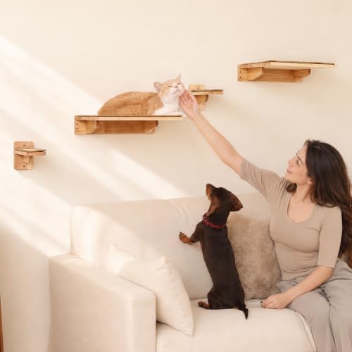 FUKUMARU Cat Wall Shelves 4 Set, Solid Rubber Wood Shelf - Image 3