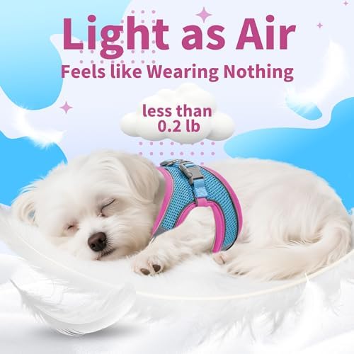 AIITLE Dog Harness and Leash Set, Step-in Puppy Pet Vest, Hot Pink XXXS - Image 5