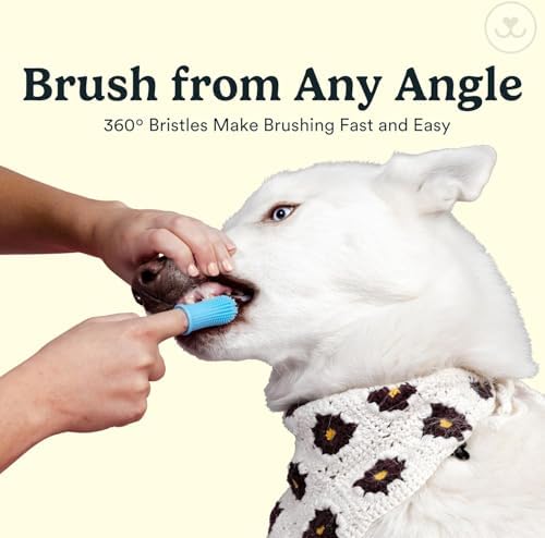 Jasper Dog Toothbrush, 360° Finger Toothbrush - Image 3