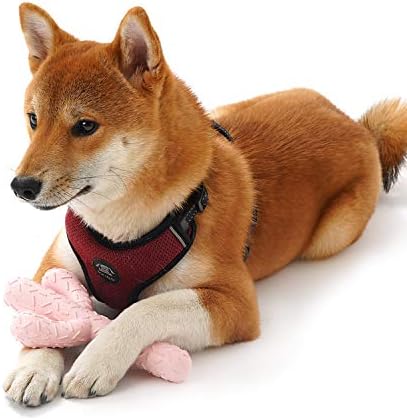 MewaJump Dog Chew Toys, Tough Rubber Dog Toys - Image 4