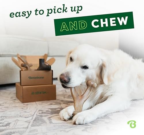 Benebone Small 4-Pack Dog Toys for Aggressive Chewers – Under 30 lbs - Image 2