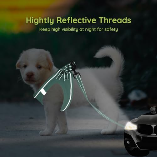 BELLA & PAL Small Dog Harness - Image 4