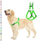 PUPTECK No Pull Dog Harness Large Sized Step-in Adjustable Puppy Vest by PUPTECK
