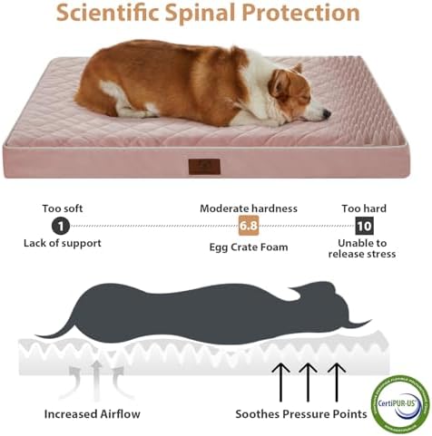 WNPETHOME Orthopedic Waterproof Large Dog Bed - Image 3