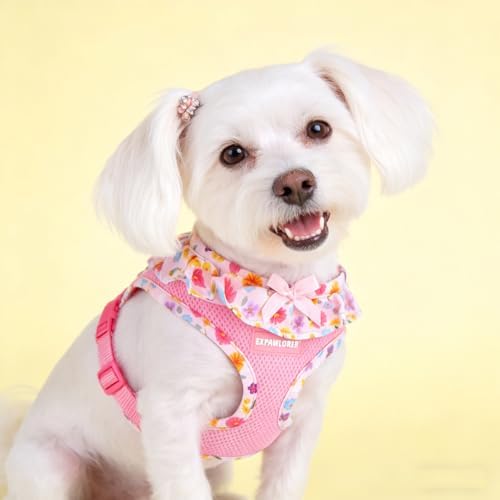 EXPAWLORER Step-in Dog Harness Small Sized and Leash Set - Image 7