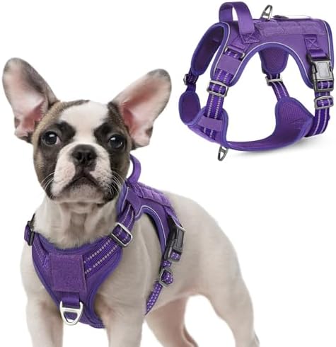 rabbitgoo Tactical Dog Harness for Small, No Pull Military Service Vest by rabbitgoo