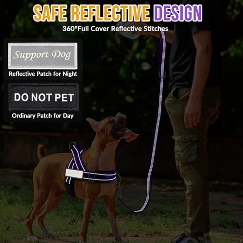 Lukovee No Pull Dog Harness and Leash Set, Soft Padded - Image 6
