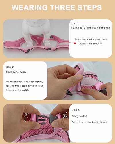 M Purple Soft Mesh Dog Harness and Leash Set, No Escape Puppy Harnesses - Image 6
