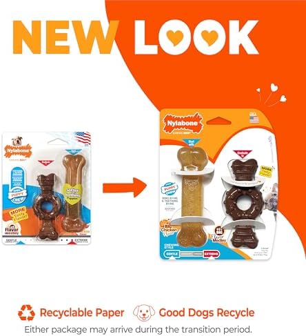 Nylabone Puppy Chew Teething Bone and Ring Bone Dog Chew Toys - Image 3